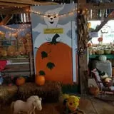 Katie's Pumpkin Barn photo