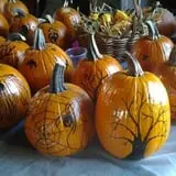 Katie's Pumpkin Barn photo
