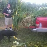 Katie's Pumpkin Barn photo