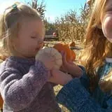 Katie's Pumpkin Barn photo