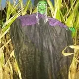 Katie's Pumpkin Barn photo