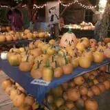 Katie's Pumpkin Barn photo