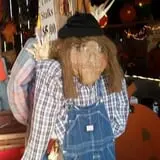 Katie's Pumpkin Barn photo