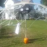 Katie's Pumpkin Barn photo