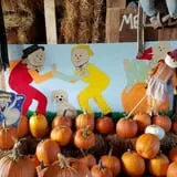 Katie's Pumpkin Barn photo