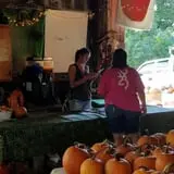 Katie's Pumpkin Barn photo