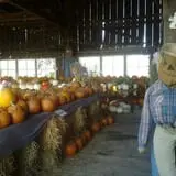 Katie's Pumpkin Barn photo
