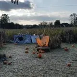 Katie's Pumpkin Barn photo