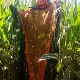 Katie's Pumpkin Barn photo