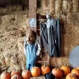 Katie's Pumpkin Barn photo