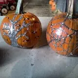 Katie's Pumpkin Barn photo