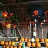 Katie's Pumpkin Barn photo