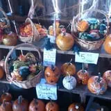 Katie's Pumpkin Barn photo