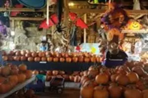 Katie's Pumpkin Barn