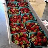 Sweetser's Apple Barrel and Orchards photo