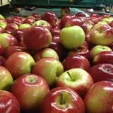 Sweetser's Apple Barrel and Orchards photo