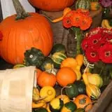 Sweetser's Apple Barrel and Orchards photo