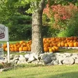 Sweetser's Apple Barrel and Orchards photo