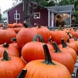 Sweetser's Apple Barrel and Orchards photo