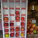 Sweetser's Apple Barrel and Orchards photo