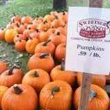 Sweetser's Apple Barrel and Orchards photo