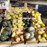 Sweetser's Apple Barrel and Orchards photo