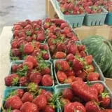Sweetser's Apple Barrel and Orchards photo