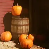 Sweetser's Apple Barrel and Orchards photo