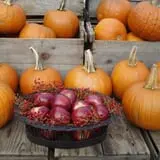 Sweetser's Apple Barrel and Orchards photo