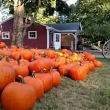 Sweetser's Apple Barrel and Orchards photo