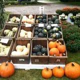 Sweetser's Apple Barrel and Orchards photo