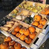 Sweetser's Apple Barrel and Orchards photo