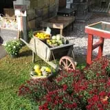 Sweetser's Apple Barrel and Orchards photo
