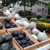 Sweetser's Apple Barrel and Orchards photo