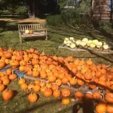 Sweetser's Apple Barrel and Orchards photo
