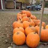 Sweetser's Apple Barrel and Orchards photo