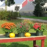 Sweetser's Apple Barrel and Orchards photo