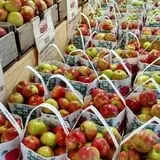 Sweetser's Apple Barrel and Orchards photo