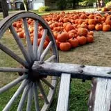 Sweetser's Apple Barrel and Orchards photo