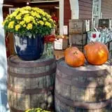 Sweetser's Apple Barrel and Orchards photo