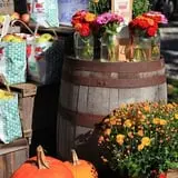 Sweetser's Apple Barrel and Orchards photo
