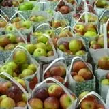 Sweetser's Apple Barrel and Orchards photo