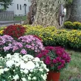 Sweetser's Apple Barrel and Orchards photo