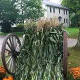 Sweetser's Apple Barrel and Orchards photo
