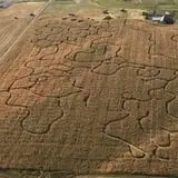Fritz Corn Maze Haunted Trail & Haunted Barn photo