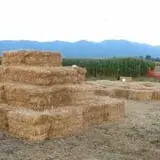 Fritz Corn Maze Haunted Trail & Haunted Barn photo