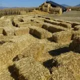 Fritz Corn Maze Haunted Trail & Haunted Barn photo