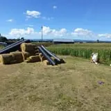 Fritz Corn Maze Haunted Trail & Haunted Barn photo