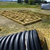 Fritz Corn Maze Haunted Trail & Haunted Barn photo