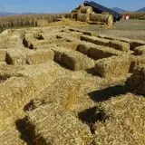 Fritz Corn Maze Haunted Trail & Haunted Barn photo